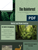 Rainforest PP
