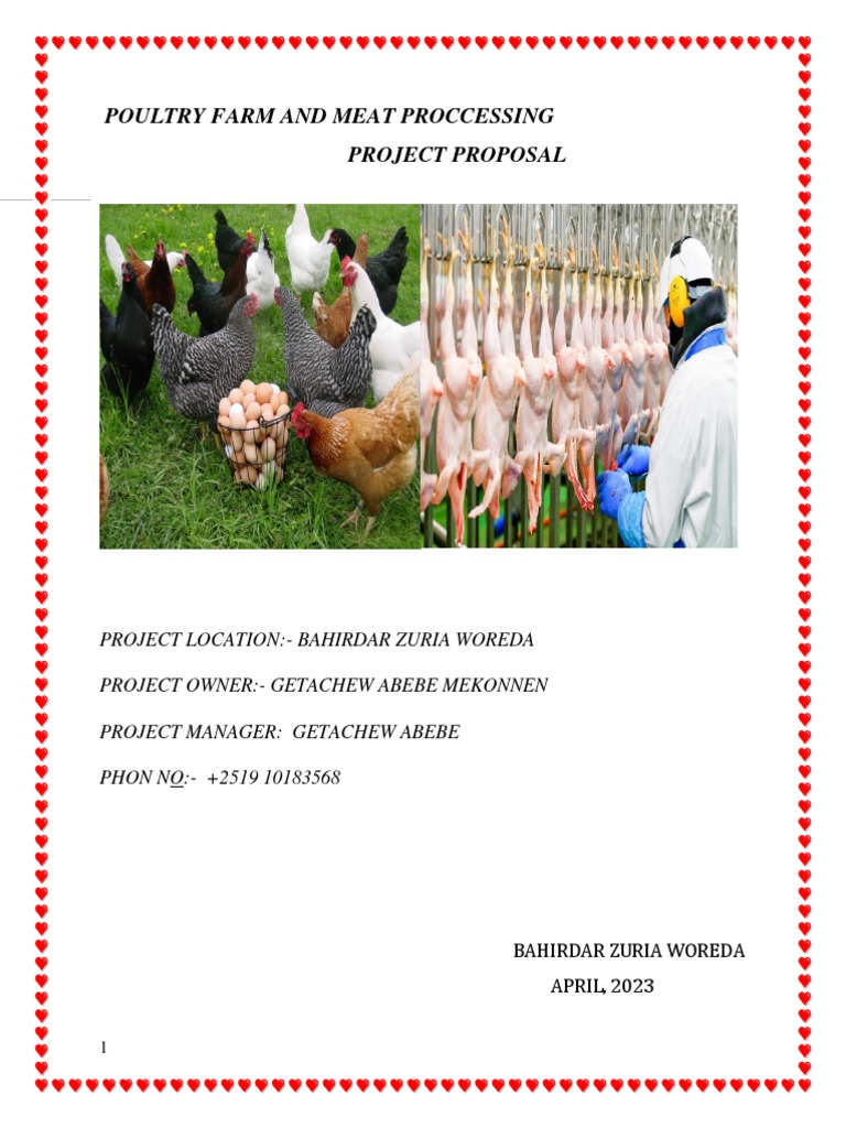 Poultry Farming Project Proposal in Ethiopia | PDF | Poultry | Chicken