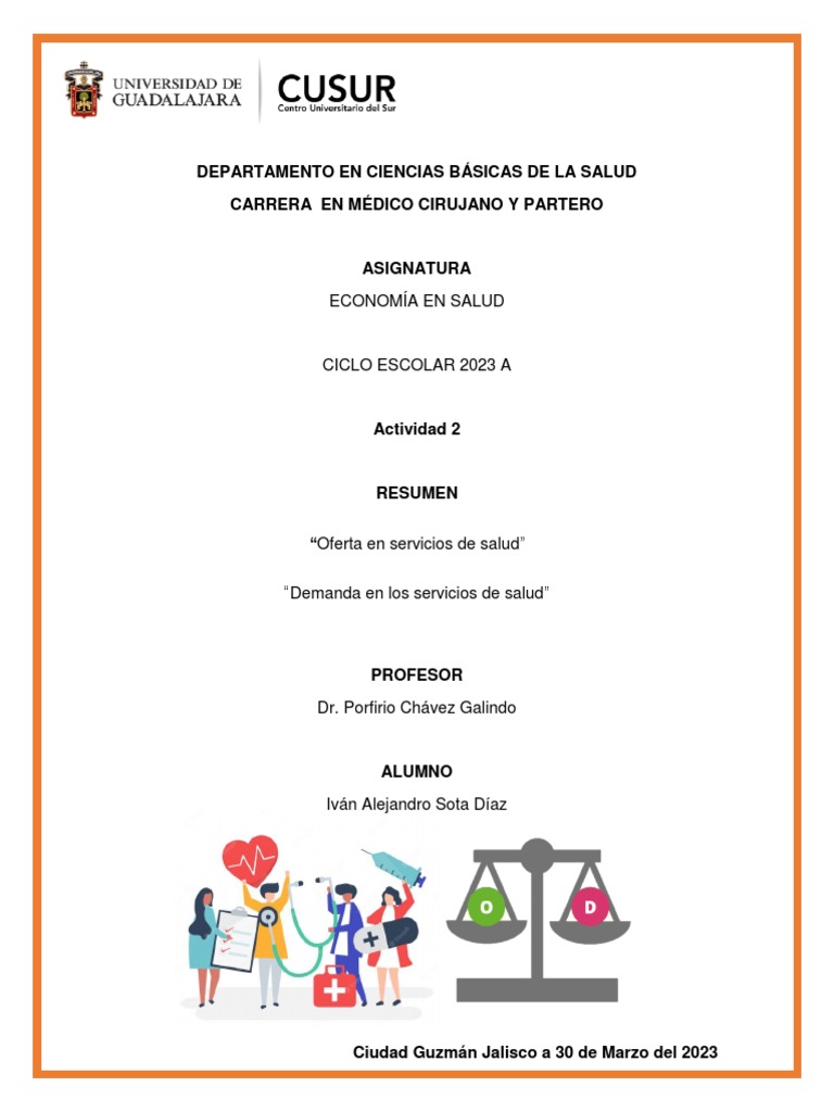 RESUMEN. Oferta y Demanda en Los Servicios de Salud | PDF