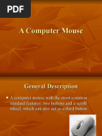 A Computer Mouse