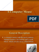 A Computer Mouse