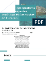 Proyecto de Investigación PDF