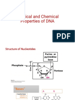 Properties of DNA