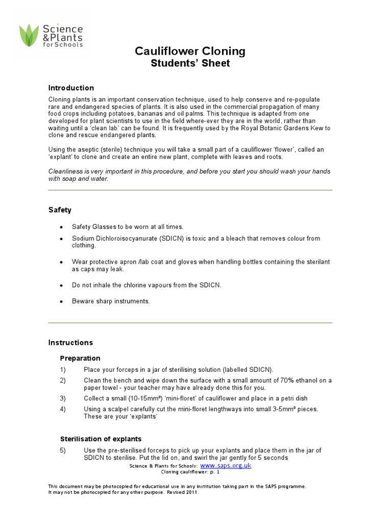 36447SAPS Cauliflower Cloning Student Worksheet PDF Botany