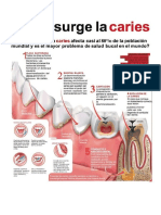 Folletos Taller Higiene USM