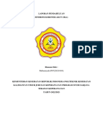LP SKA Mirhamsyah PDF