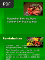 Download Perubahan Biokimia Sayur Dan Buah_2 by Irvan Ramadhani SN64245942 doc pdf