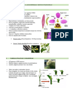 Tema 11 Monocotileddoneas