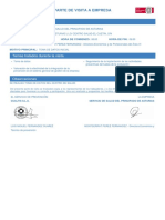 Parte de Visita PDF