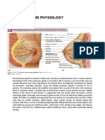 ANATOMY