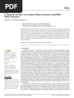 A Tutorial On How To Conduct Meta-Analysis With IB