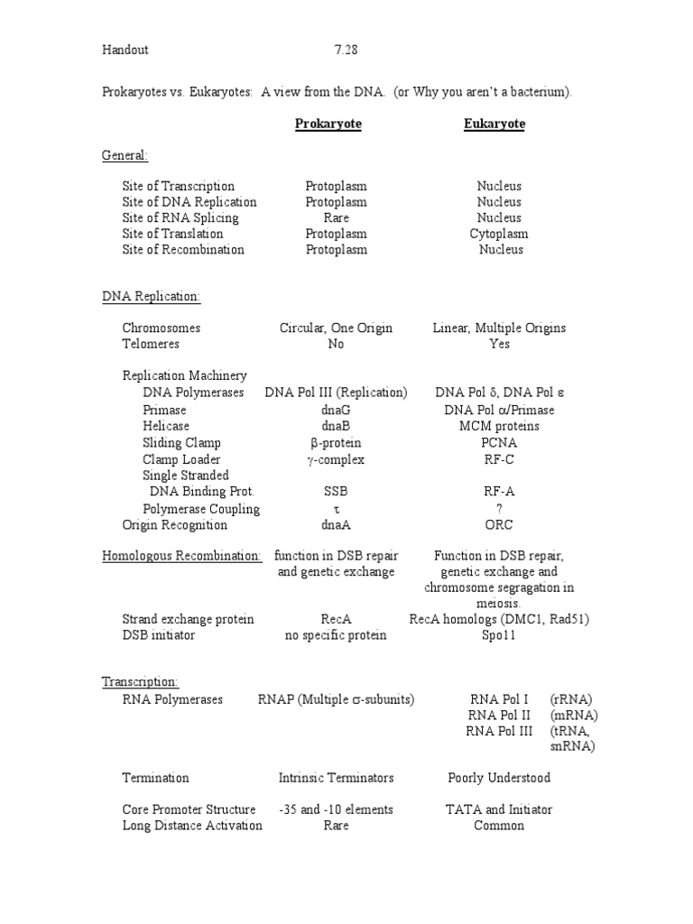 Prokaryotes vs. Eukaryotes | Download Free PDF | Dna Replication | Rna