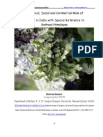 Ecological Importance of Lichen