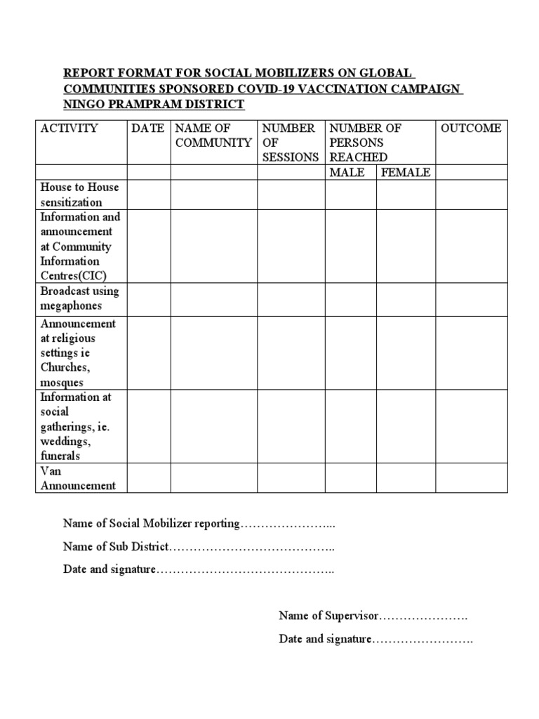 Report Format For Social Mobilizers | PDF