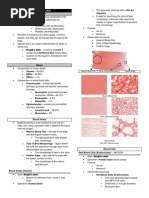 (Transes) Human Histology - 12 Peripheral Blood