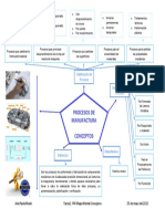 T2 PM Conceptos Anamacin