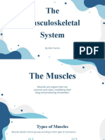 The Musculoskeletal System Explained