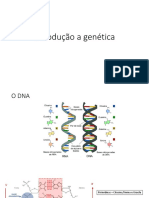 Introdução A Genética2 PDF