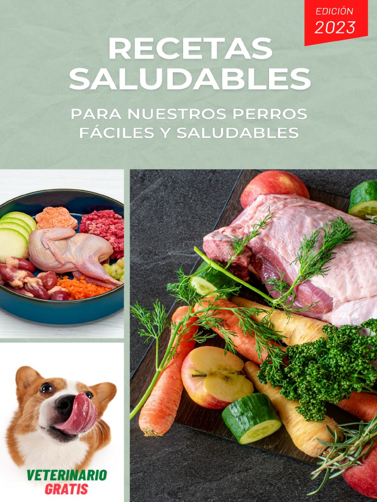 Ebook Recetas Vol1 Pdf Pdf