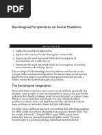 Sociological Perspectives On Social Problems