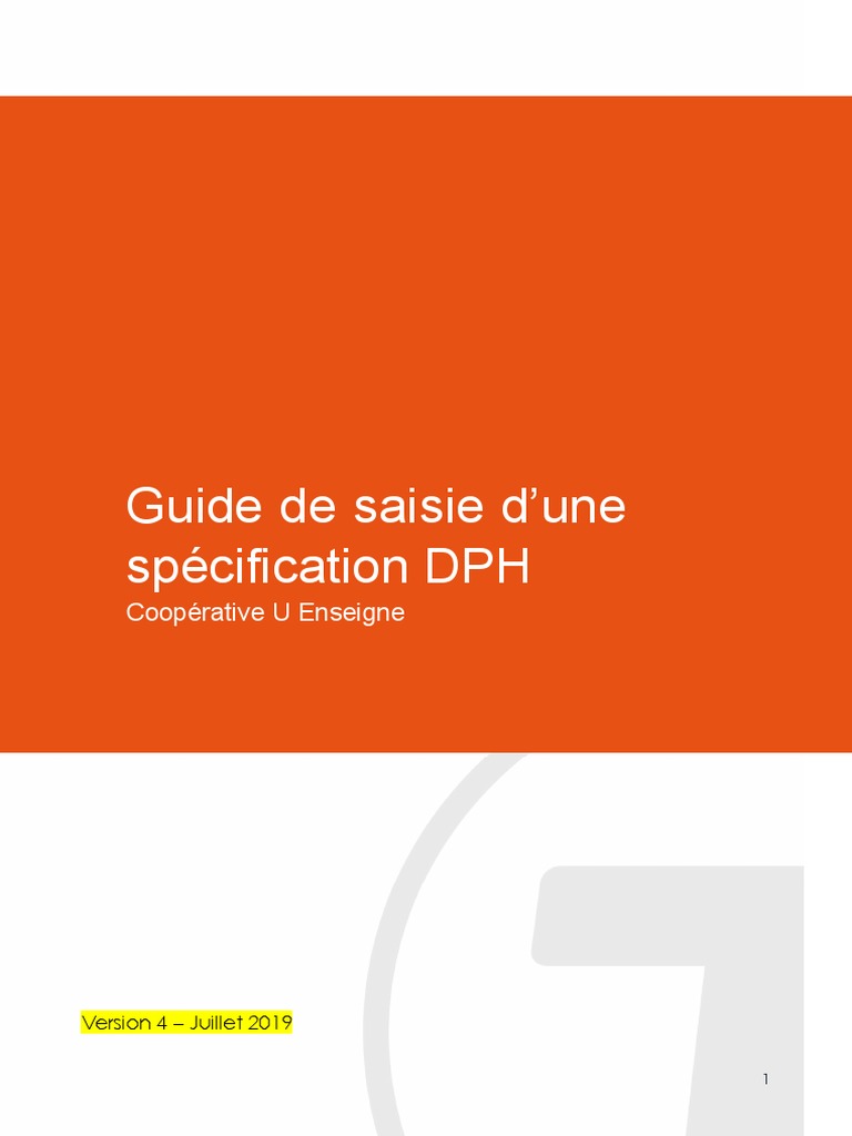 Guide de saisie spécification DPH | PDF | Ordinateurs