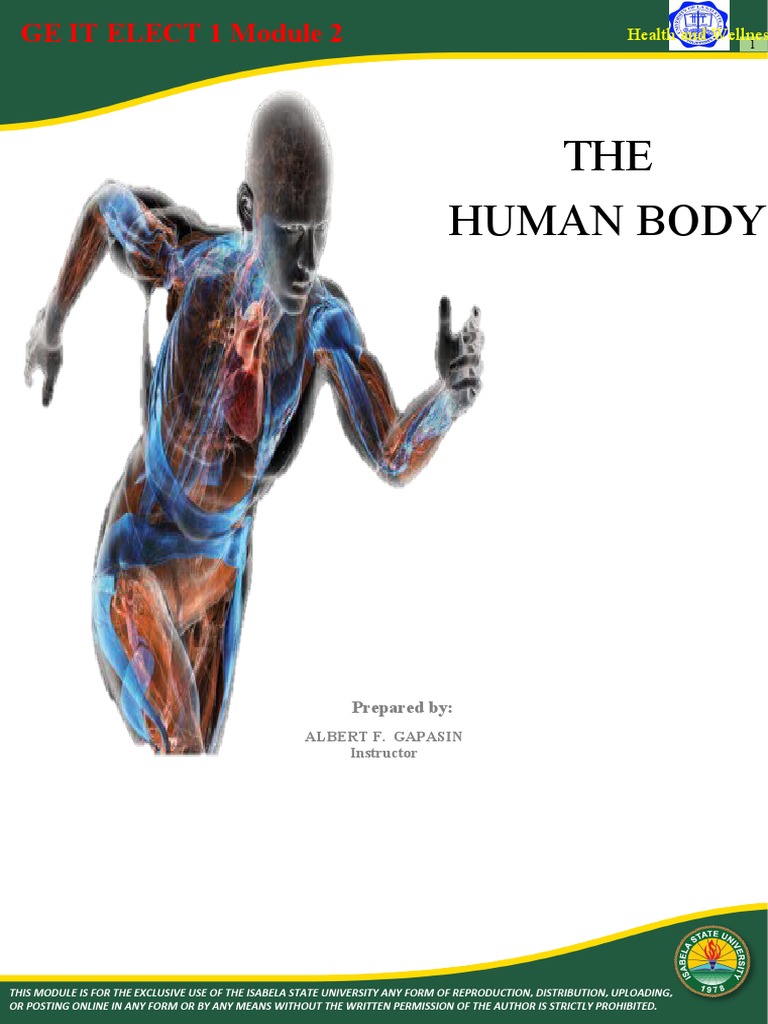 Human Body Movement and Anatomy Guide | PDF | Vertebral Column ...