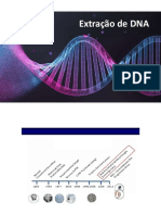Aula 1 - Extração de DNA