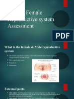 Male & Female Reproductive System Assessment