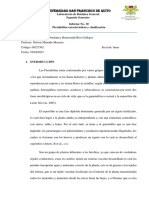 Informe 10