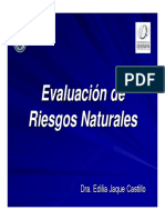 Evaluacion de Riesgos Naturales PDF