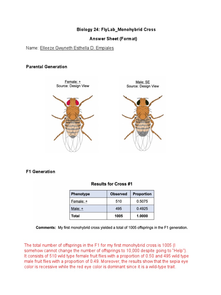 Biology 24 Flylab Drosophila Monohybrid Cross Answer Sheet Format