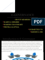 E-Governance Group Report