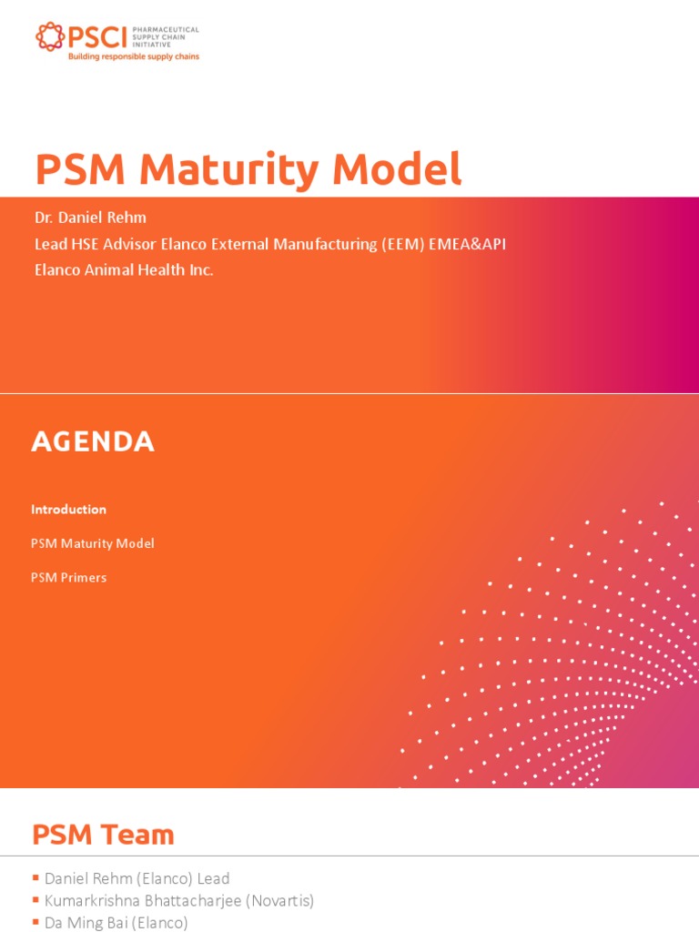 PSM Maturity Model Overview | PDF | Firefighting | Fires