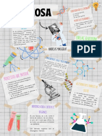 Poster Quimica PDF