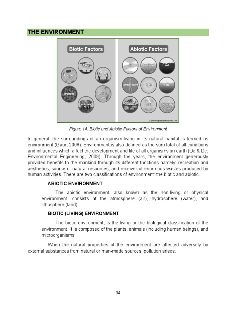 Module 2 The Environment PDF | PDF