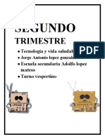 Segundo Trimestre