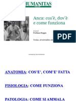 Anca PDF