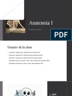 Clase Anatomía Generalidades Del Sistema Locomotor