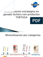 Mineralizacion TORTUGA - LECHE-Presentacion