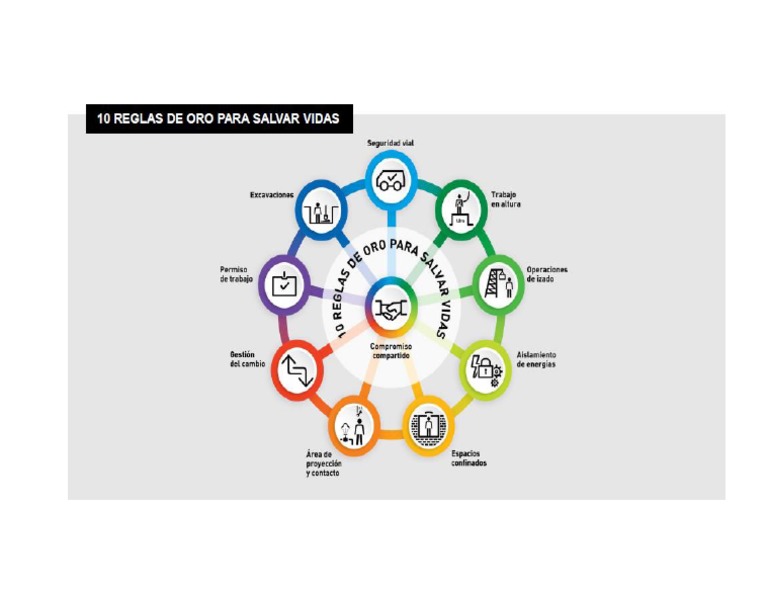 10 Reglas de Oro PDF - YPF | PDF