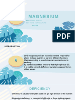 Magnesium Presentation