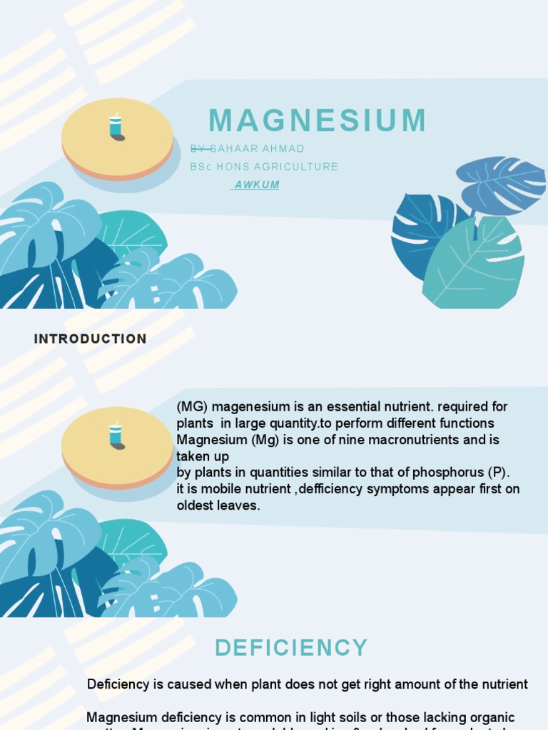 Magnesium Deficiency in Plants | PDF | Science & Mathematics