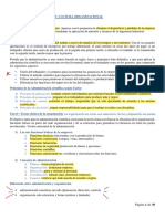 Resumen Admin 2P PDF