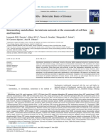 PDF Ferreira Review Intermediary Metabolism BBADIS 2020