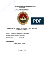 Derecho de Familia en Brasil, Chile, Bolivia, Argentina y Perú