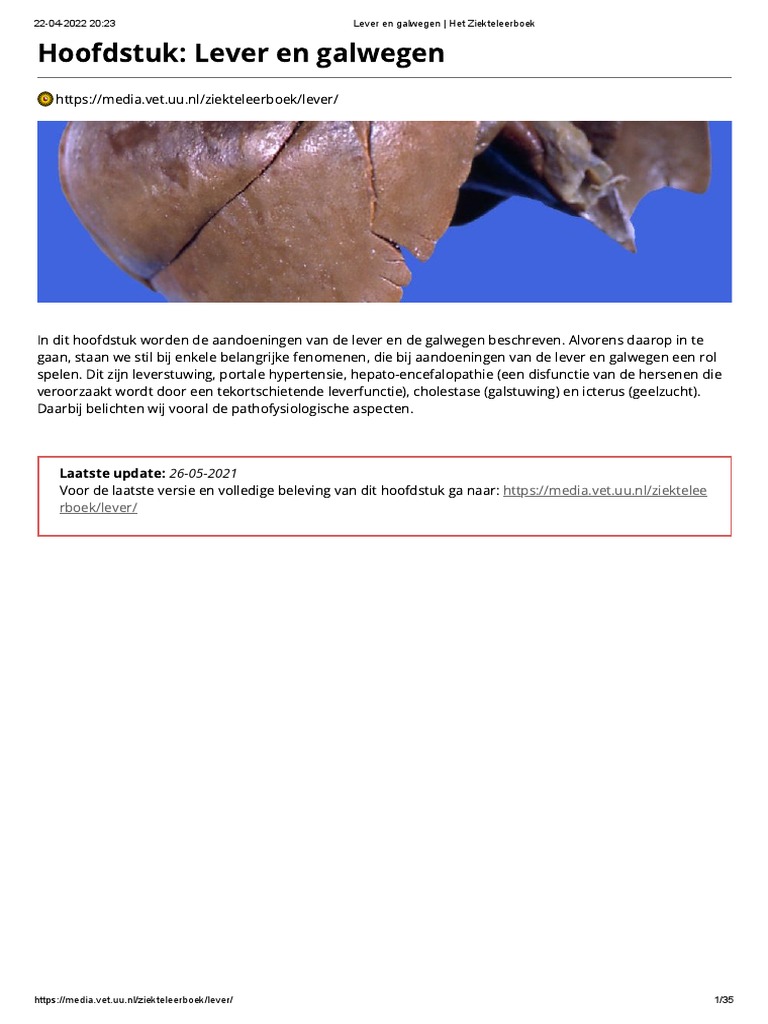 Lever en Galwegen Het Ziekteleerboek PDF