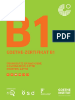 Goethe Zertifikat B1 - Übungssatzpdf