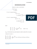 Apuntes de Determinantes PDF