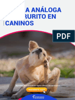 Escala Análoga Del Purito en Caninos PDF