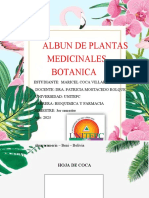 Plantas medicinales bolivianas y sus usos
